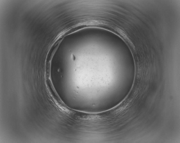 X0000056350845200509091554