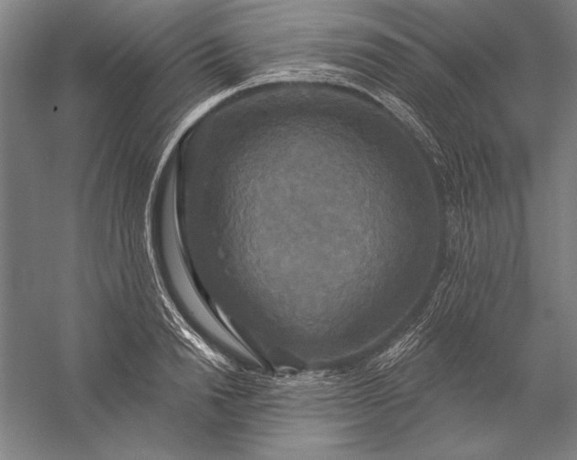 X0000056350846200509091554