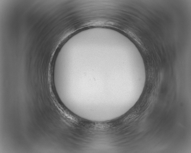 X0000056350848200509091554