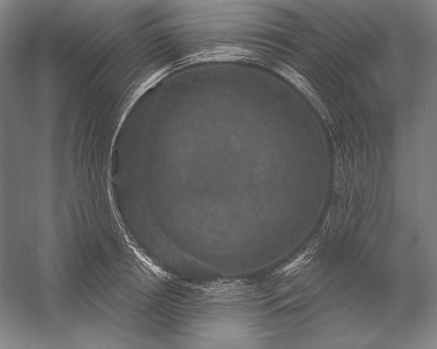 X0000056350850200509091554