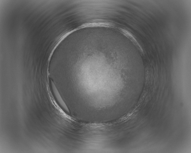 X0000056350852200509091554