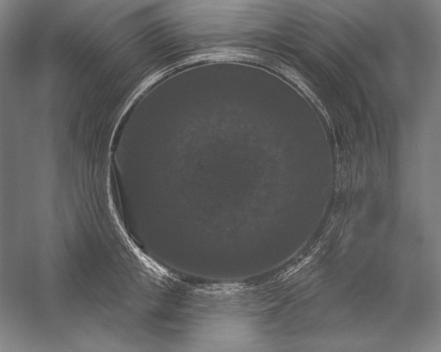 X0000056350853200509091554