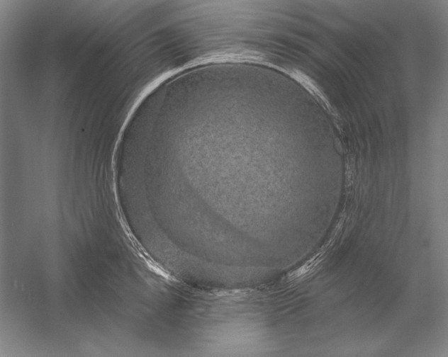 X0000056350854200509091554