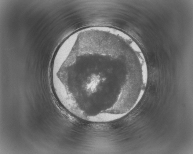 X0000056350856200509091554