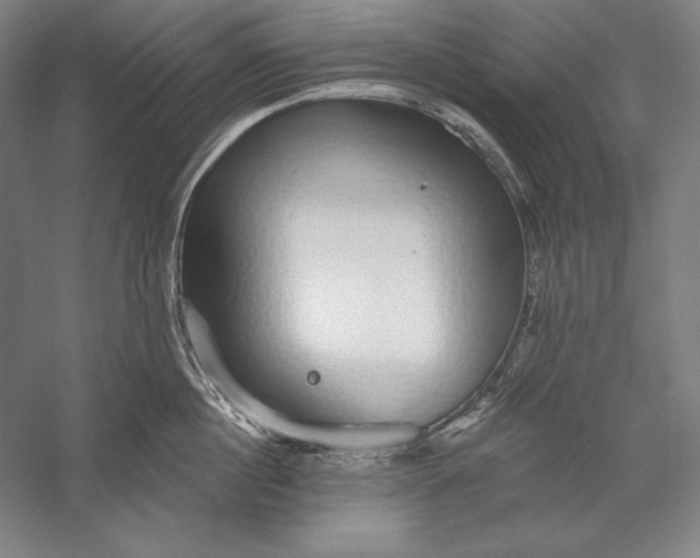 X0000056350860200509091554