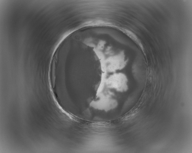 X0000056350863200509091554