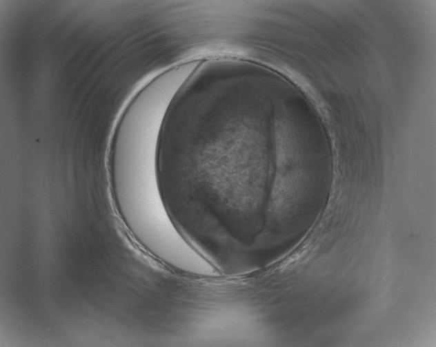 X0000056350864200509091554