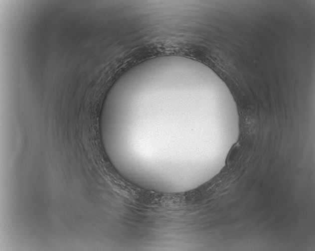 X0000056350865200509091554