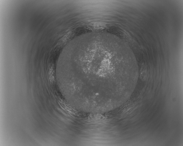 X0000056350866200509091554