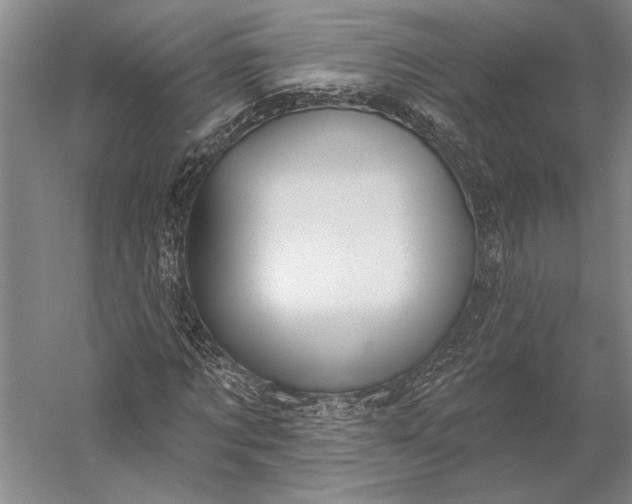 X0000056350869200509091554