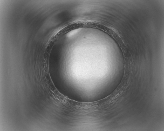 X0000056350871200509091554