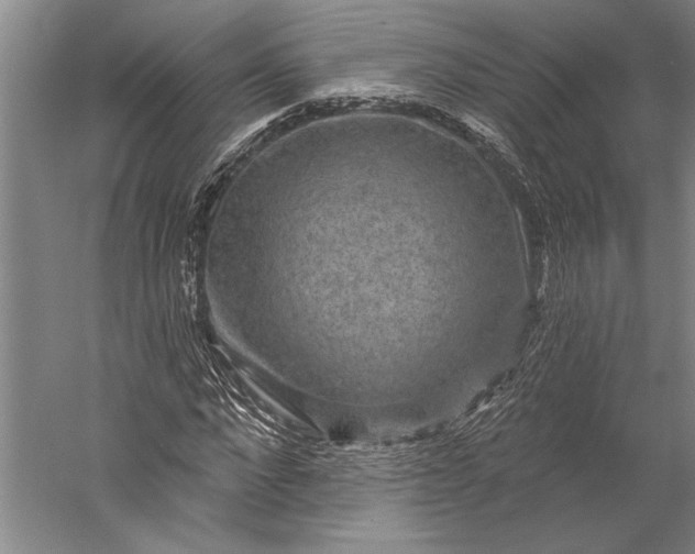 X0000056350872200509091554