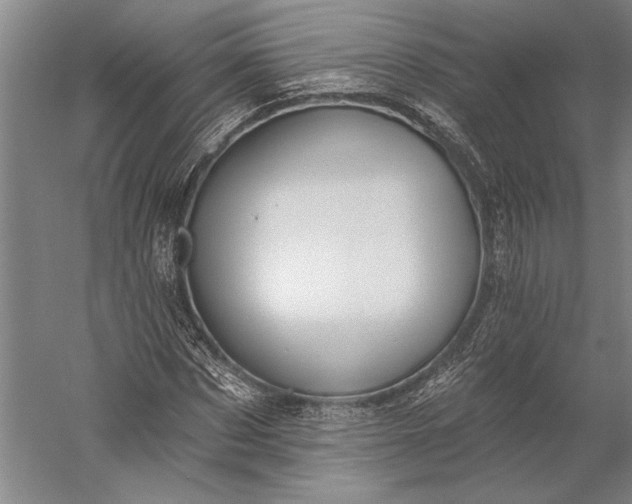 X0000056350873200509091554