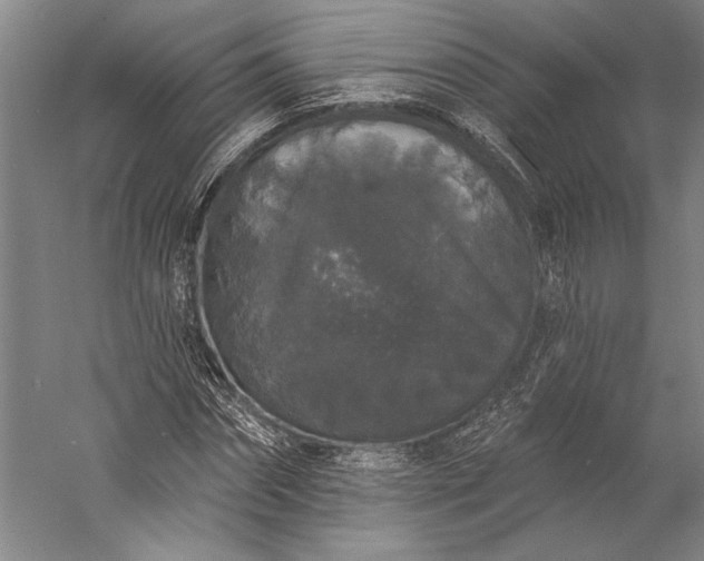 X0000056350874200509091553