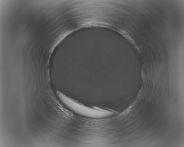 X0000056350877200509091553