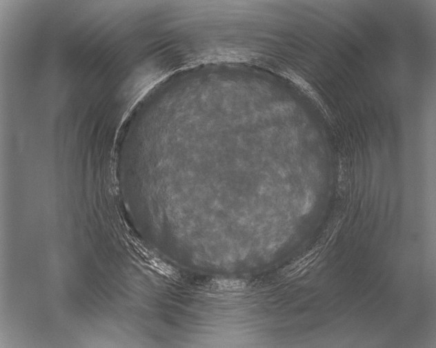 X0000056350878200509091553