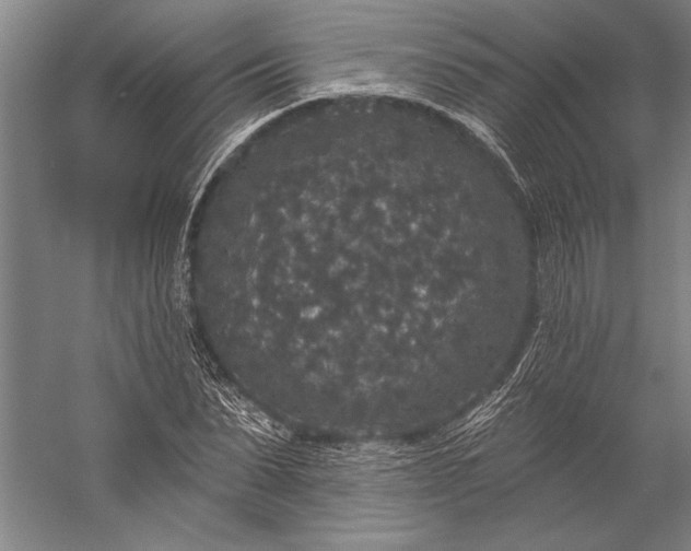 X0000056350879200509091553