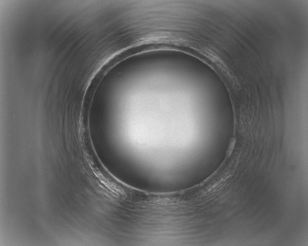 X0000056350880200509091553