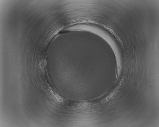 X0000056350881200509091553