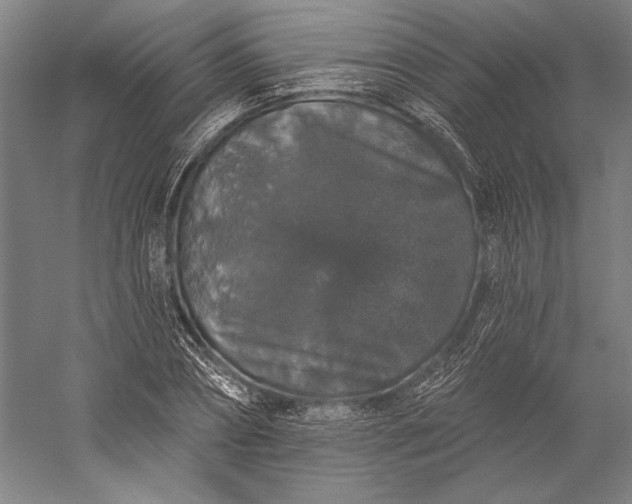 X0000056350882200509091553