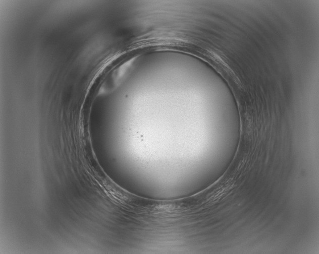 X0000056350883200509091553