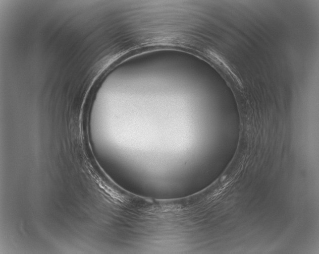 X0000056350884200509091553