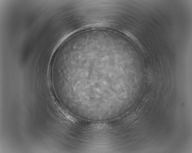 X0000056350886200509091553