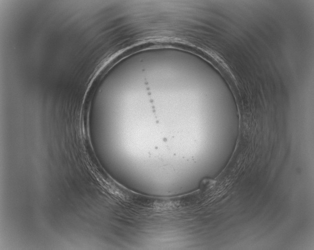 X0000056350887200509091553