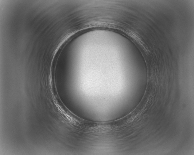 X0000056350888200509091553