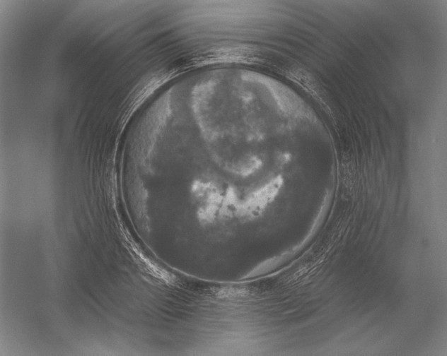 X0000056350890200509091553