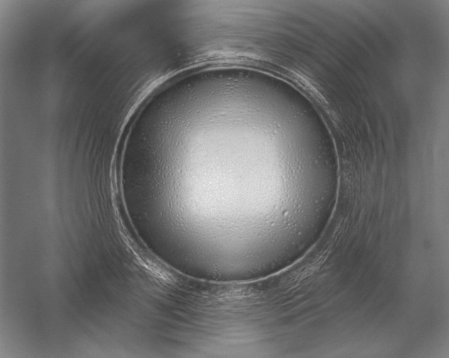 X0000056350891200509091553