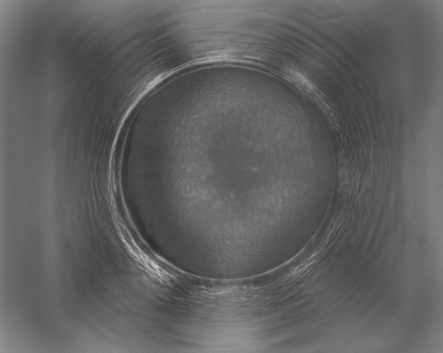 X0000056350892200509091553