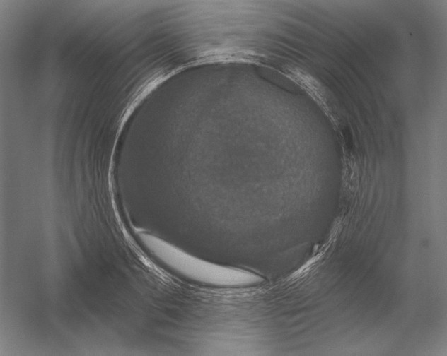 X0000056350893200509091553