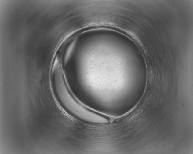 X0000056350895200509091553