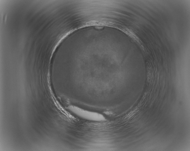 X0000056350896200509091553