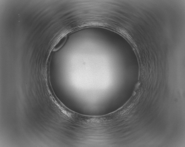 X0000056350898200509091553