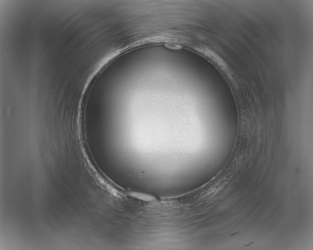 X0000056350902200509091553