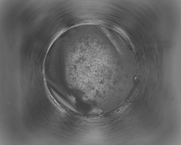 X0000056350907200509091553