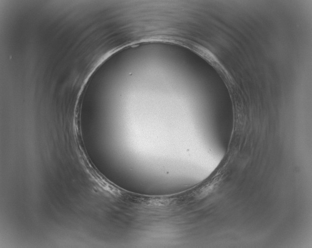 X0000056350908200509091553