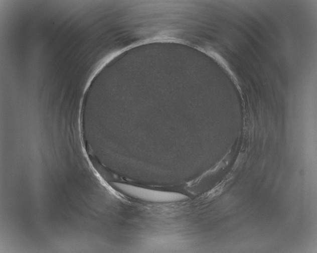 X0000056350910200509091553