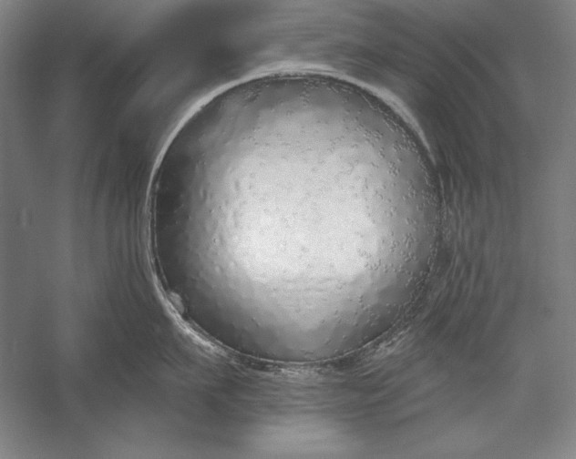 X0000056350911200509091553