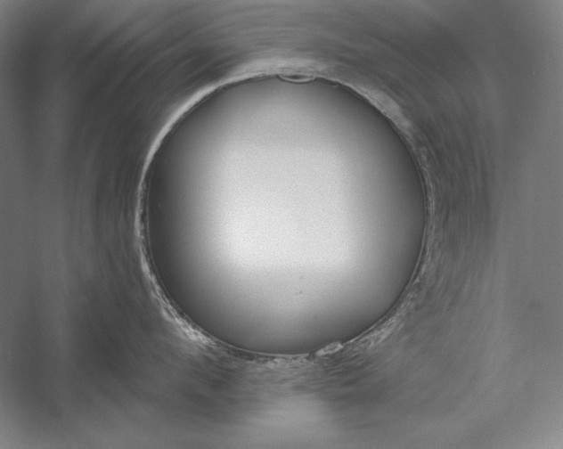 X0000056350912200509091553