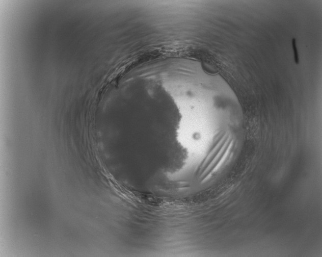 X0000056350913200509091552