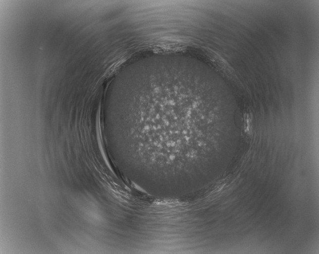 X0000056350915200509091552