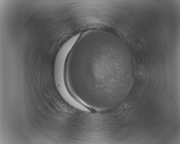 X0000056350916200509091552