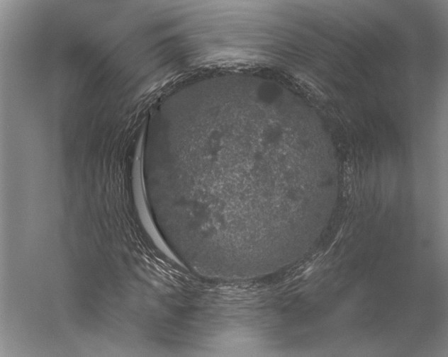 X0000056350917200509091552