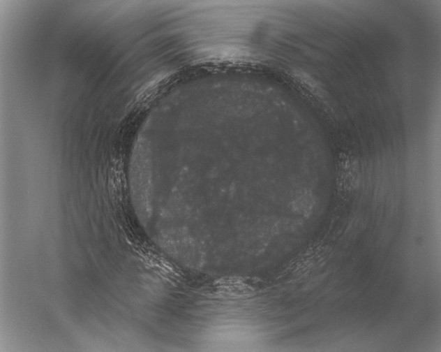 X0000056350918200509091552