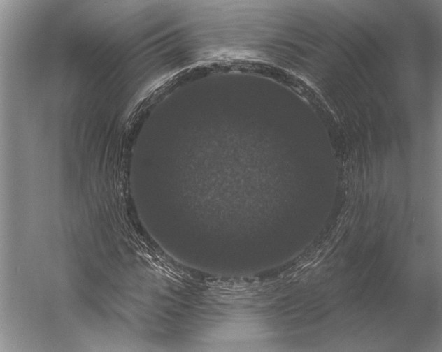 X0000056350919200509091552