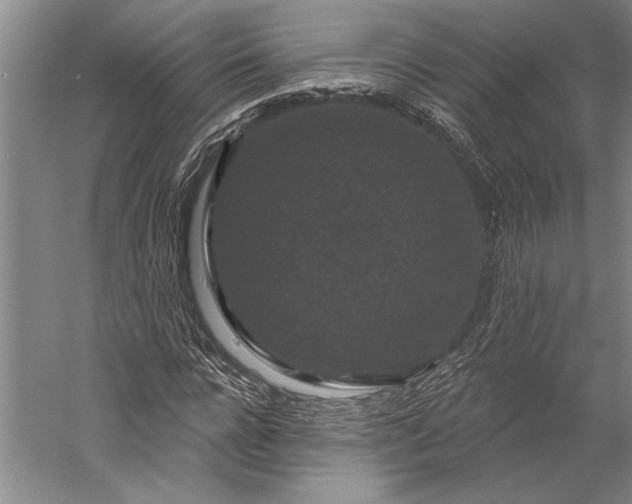 X0000056350920200509091552