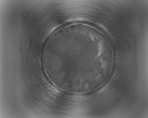 X0000056350921200509091552